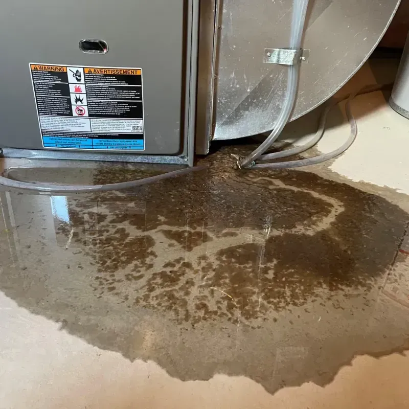 Appliance Leak Cleanup in Charlotte, NC